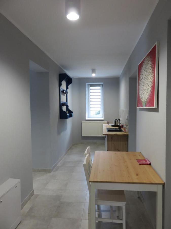Hostel Karpacki Szymon Szczepan Zarszyn Экстерьер фото